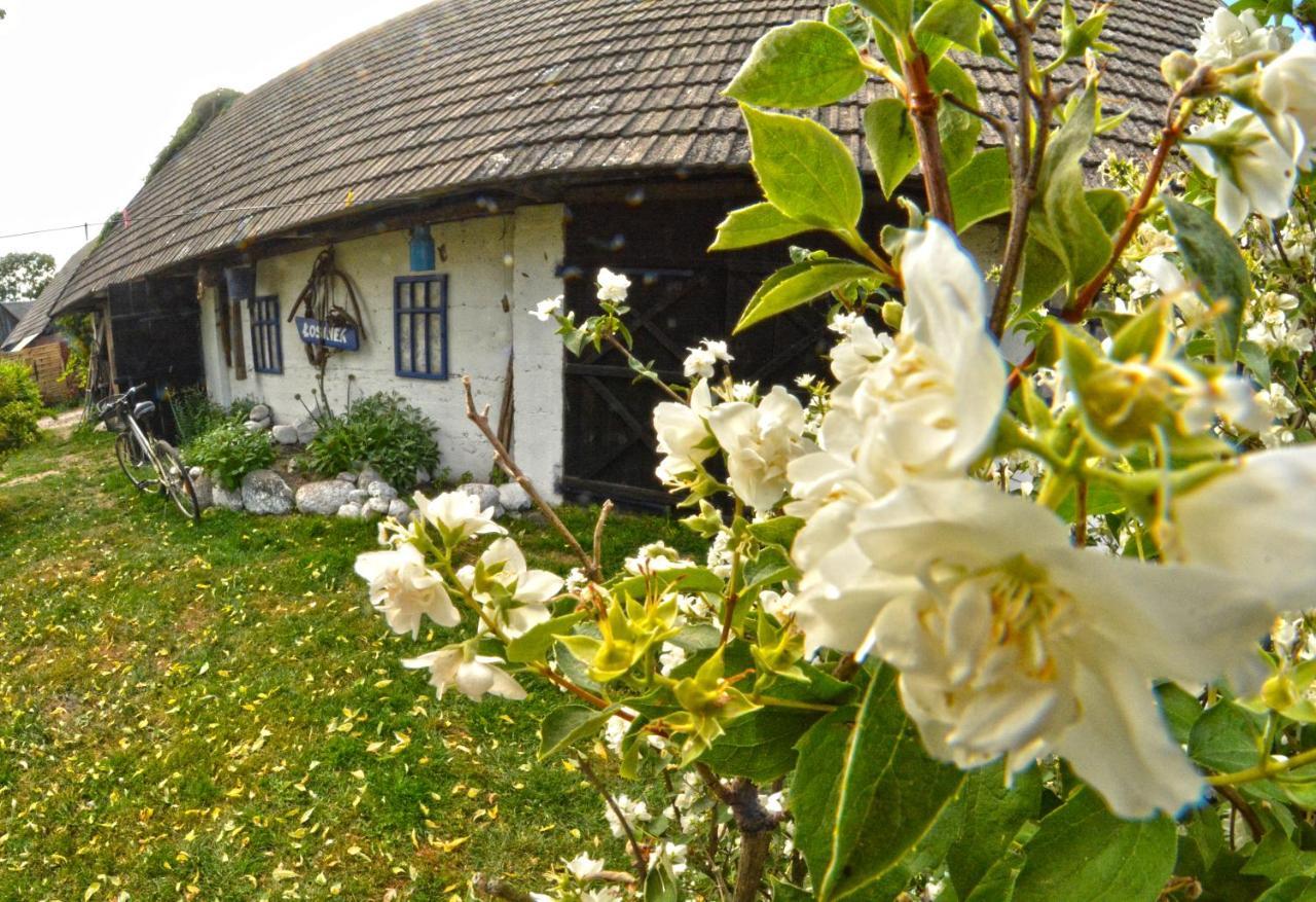 Landhaus Losinek *